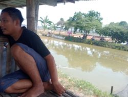 Berebut Hoki, Lomba Mancing Di Bunot Widang Jadi Hiburan Keluarga