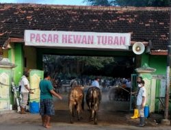 Setelah Hasil Rapat Kordinasi Pemkab Tuban Resmi Menutup Tiga Pasar Hewan