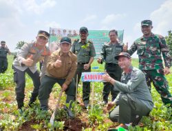 Perhutani Jatim Genjot Penanaman Pohon Untuk Mempercepat Tutupan Lahan