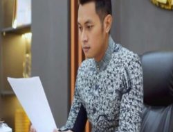 Dijodohkan dengan Happy Asmara, Ini Profil Bupati Tuban Aditya Halindra: Ganteng Muda Dan Berkuasa