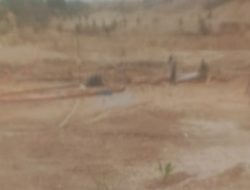 Penambang Timah Diduga Ilegal di Kawasan Hutan Produksi Bukit Betung Sambung Giri Kembali Marak