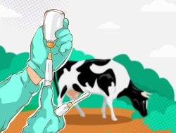 Pemkab Bojonegoro Siapkan 500 Dosis Vaksin Cegah Penyakit LSD pada Sapi