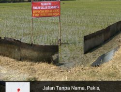 Plt Kades Penidon Plumpang Tuban Belum Mampu Menyelesaikan Atas Dugaan Munculnya Dua Penyewa Dalam Sengketa Sewa Sawah Bengkok