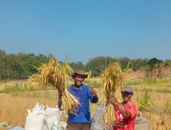 Mengolah Lahan Kering Menjadi Lahan Produktif