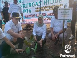 Perhutani Bersama Pemkab Blitar Hijaukan Bibir Pantai Serang