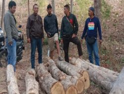 Petugas KPH Tuban Berhasil Cegah Aksi Pencurian lLegal Logging  1 Pelaku Di Amankan