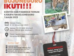 Pemkab Bojonegoro Akan Gelar Kontes dan Pameran Ternak Sapi, Dorong Pengembangkan Peternakan Modern