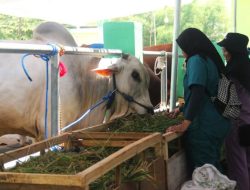Kontes dan Pameran Ternak yang digelar Pemkab Bojonegoro