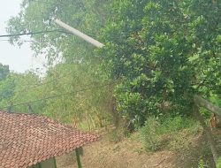 Hampir Menimpa Rumah warga Tiang Listrik, PLN Bojonegoro Di Lapori Tidak Merespon