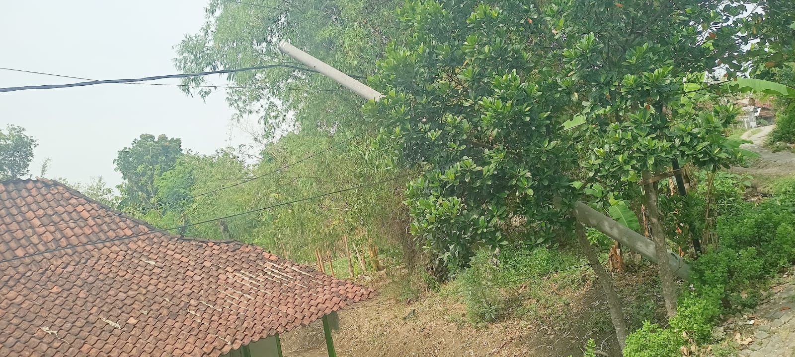 Img 20231128 Wa0156