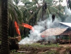 ASIAT BEBAS  MENAMBANG DI KAWASAN TERLARANG