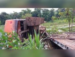 Truck Bawa Excavator Nyungsep Ke Area Persawahan Di Karangsono Nganjuk