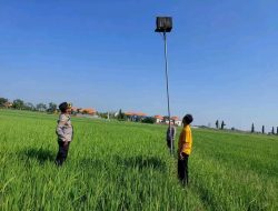 Turun ke Sawah Kpolsek Babat Ikuti Pendirian Rumah Burung Hantu Pengendalian Hama Tikus