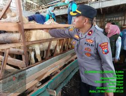 Kapolsek Babat Bersama Dinas Kesehatan Hewan Kabupaten Lamongan Cek Kondisi Ternak Kambing di Desa Kuripan Kecamatan Babat
