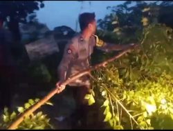 Aksi Sigap Polsek Glagah Bantu Warga Evakuasi Pohon Tumbang