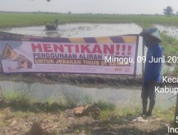 Polsek Sekaran Ajak Petani tak Gunakan Jebakan Tikus Beraliran Listrik