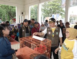 Jamin Kelayakan Daging Kurban, Ratusan Tenaga Kesehatan Hewan Diterjunkan