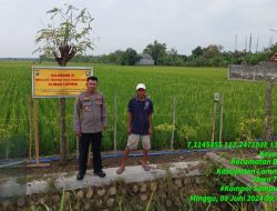 Kapolsek Babat Pasang Banner Himbauan Agar Tidak Memasang Perangkap Tikus Yang Diberi Aliran Listrik