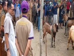 Pj Bupati Tulungagung Pantau Ketersediaan Hewan Kurban di Pasaran