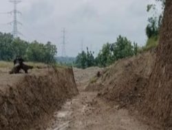 Warga Resahkan Galian Belum Kantongi Izin Gunakan Jalan Perhutani Grobokan Melegang Bebas