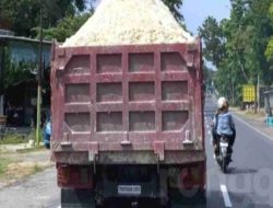 Penguna Jalan Plumpang Renggel Keluhkan Adanya Truk Tambang Bermuatan Material Pedel Batu yang Berlalu Lalang