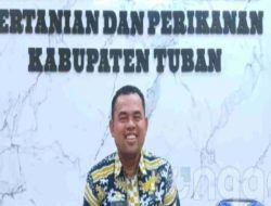 Jatah Pupuk Subsidi Kecamatan Kerek Kian Melambung Tinggi .