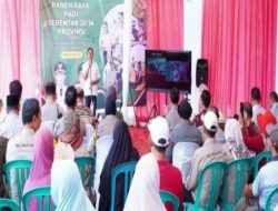 Yuhronur Efendi Pastikan Harga Gabah Wilayahnya Tetap Stabil
