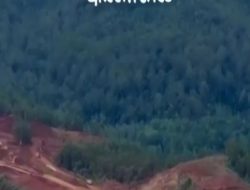 PBD telusuri aktivitas tambang diduga rusak lingkungan Raja Ampat