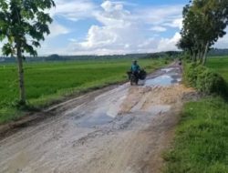 Jalan Rusak Tak Kunjung Diperbaiki Warga Tuban Berteriak