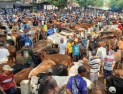 Jelang Hari Raya Iduladha Permintaan Hewan Kurban Melambung Tinggi