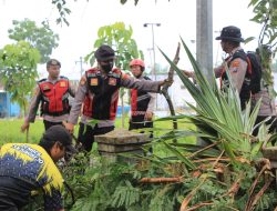 Angin Puting Beliung Disertai Hujan Deras Terjang Desa Tanjungrejo dan Mergosari, Singgahan Tuban