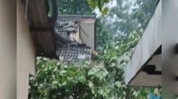 Screenshot 20251208 211834 copy 512x512