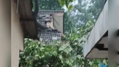 Screenshot 20251208 211834 copy 512x512