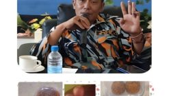 Img 20260311 175953 copy 512x512