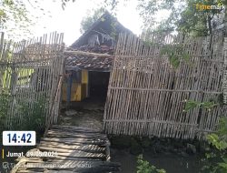 Diduga Pekerjakan Anak di Bawah Umur Warung Karaoke di Karanggeneng Disorot Komnas LP KPK